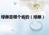 綠藤是哪個省的（綠藤）