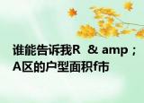 誰能告訴我R  & amp；A區(qū)的戶型面積f市