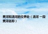 黃河和清河的交界處（清河 一段黃河名稱）