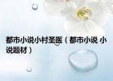 都市小說(shuō)小村圣醫(yī)（都市小說(shuō) 小說(shuō)題材）