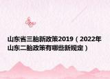 山東省三胎新政策2019（2022年山東二胎政策有哪些新規(guī)定）