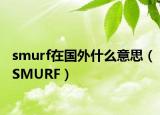 smurf在國外什么意思（SMURF）