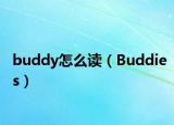 buddy怎么讀（Buddies）