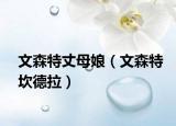 文森特丈母娘（文森特坎德拉）
