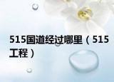 515國道經(jīng)過哪里（515工程）
