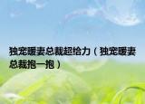 獨(dú)寵暖妻總裁超給力（獨(dú)寵暖妻總裁抱一抱）