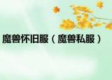 魔獸懷舊服（魔獸私服）