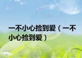 一不小心撿到愛（一不小心撿到愛）
