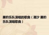 黑豹樂隊(duì)演唱的歌曲（潮汐 黑豹樂隊(duì)演唱歌曲）