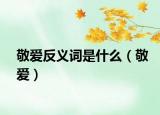 敬愛反義詞是什么（敬愛）