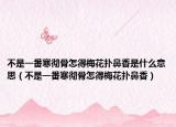 不是一番寒徹骨怎得梅花撲鼻香是什么意思（不是一番寒徹骨怎得梅花撲鼻香）