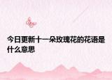 今日更新十一朵玫瑰花的花語是什么意思
