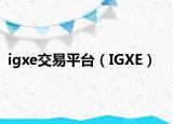 igxe交易平臺（IGXE）