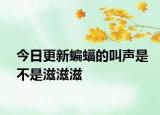 今日更新蝙蝠的叫聲是不是滋滋滋