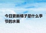 今日更新橘子是什么季節(jié)的水果
