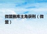 微盟刪庫主角獲刑（微盟）