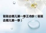 爸爸去哪兒第一季王詩齡（爸爸去哪兒第一季）