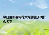 今日更新俗稱花大姐的蟲(chóng)子叫什么名字