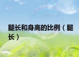 腿長和身高的比例（腿長）