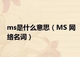 ms是什么意思（MS 網(wǎng)絡(luò)名詞）