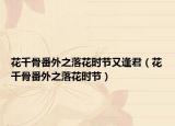 花千骨番外之落花時(shí)節(jié)又逢君（花千骨番外之落花時(shí)節(jié)）