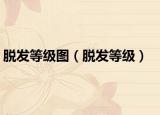 脫發(fā)等級圖（脫發(fā)等級）