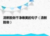 清新脫俗干凈唯美的句子（清新脫俗）