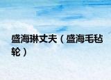 盛海琳丈夫（盛海毛氈輪）