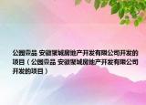 公園壹品 安徽聚城房地產(chǎn)開發(fā)有限公司開發(fā)的項(xiàng)目（公園壹品 安徽聚城房地產(chǎn)開發(fā)有限公司開發(fā)的項(xiàng)目）