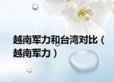 越南軍力和臺灣對比（越南軍力）