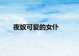 夜奴可愛的女仆
