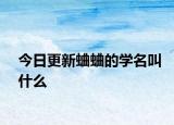 今日更新蛐蛐的學(xué)名叫什么