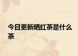 今日更新曬紅茶是什么茶