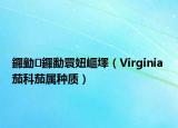 鑼勭鑼勫睘妞嶇墿（Virginia 茄科茄屬種質(zhì)）