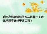 曉出凈慈寺送林子方二首其一（曉出凈慈寺送林子方二首）