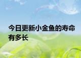 今日更新小金魚的壽命有多長(zhǎng)