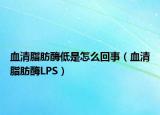 血清脂肪酶低是怎么回事（血清脂肪酶LPS）