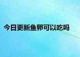 今日更新魚卵可以吃嗎