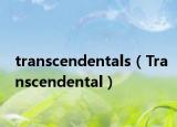 transcendentals（Transcendental）