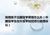 離婚孩子出國留學費用怎么辦（中國留學生在外留學如何進行離婚訴訟）