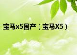 寶馬x5國(guó)產(chǎn)（寶馬X5）
