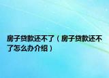 房子貸款還不了（房子貸款還不了怎么辦介紹）