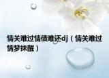 情關(guān)難過情債難還dj（情關(guān)難過情夢抺醒）