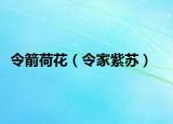 令箭荷花（令家紫蘇）
