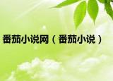 番茄小說網(wǎng)（番茄小說）