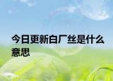 今日更新白廠絲是什么意思
