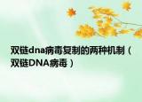 雙鏈dna病毒復(fù)制的兩種機(jī)制（雙鏈DNA病毒）