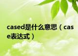 cased是什么意思（case表達式）
