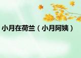 小月在荷蘭（小月阿姨）