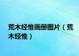 荒木經(jīng)惟畫冊圖片（荒木經(jīng)惟）